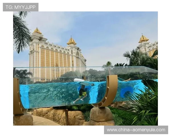 澳门银河国际站游戏种类丰富，满足不同玩家的娱乐和投注需求