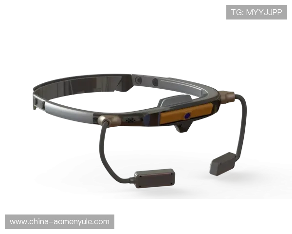 威斯尼斯人网站登录入口优化建议与用户体验提升方案，提供更优质的服务