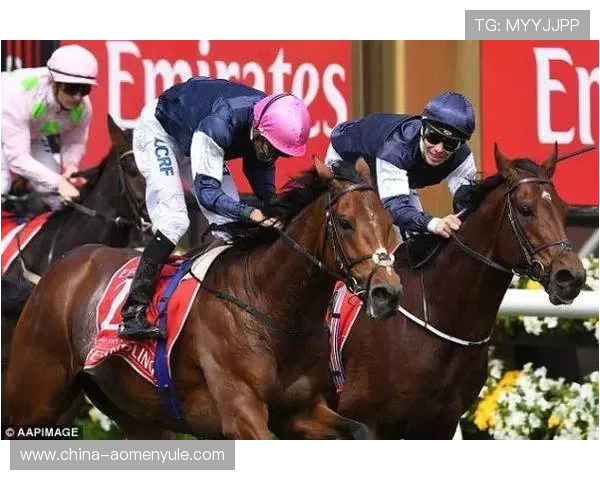 最新赛马会游戏技巧攻略助你轻松玩转游戏百万大奖