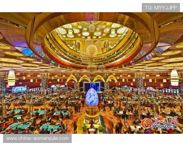 澳门新普京赌场一站式娱乐体验全面解析与你同行的最佳选择