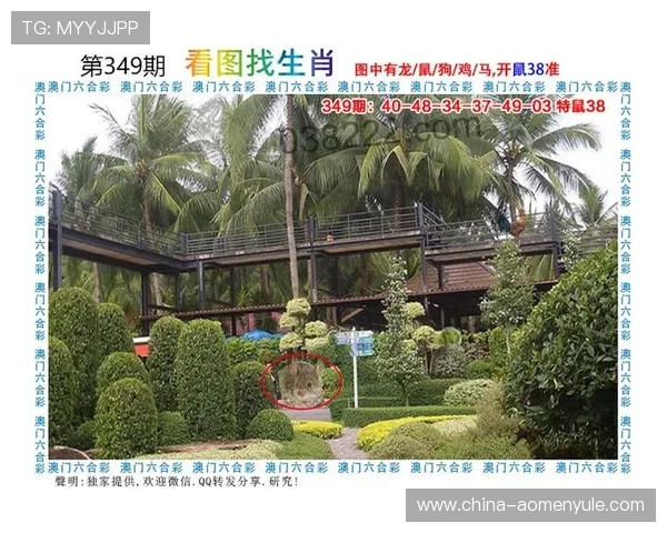 澳门财神游戏最新活动资讯及优惠福利全面介绍 澳门财神游戏最新活动资讯及优惠福利全面介绍