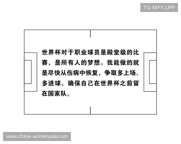 土耳其官方对美国消息的回应对世界杯赛场局势的影响及未来发展趋势