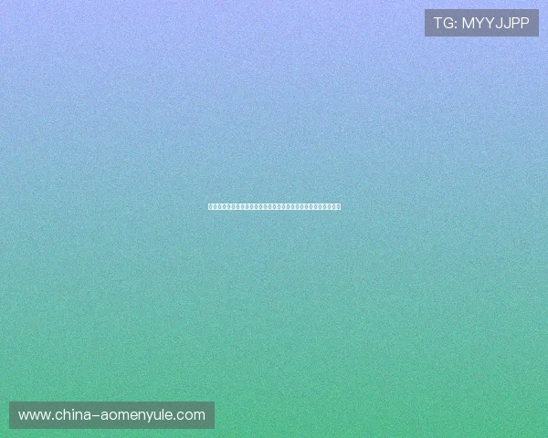 十六浦赌场的安全措施与监管机制：保障玩家权益的全面保障体系